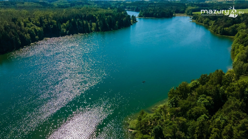 Artykuł 1