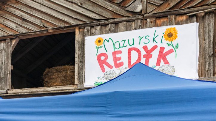 IV Redyk Mazurski, październik 2025 r.