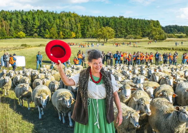 Mazurska Jagnięcina